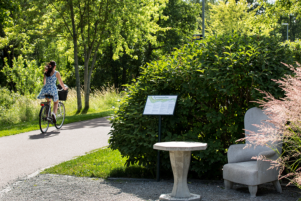 Foto på en kvinna som cyklar i en park.