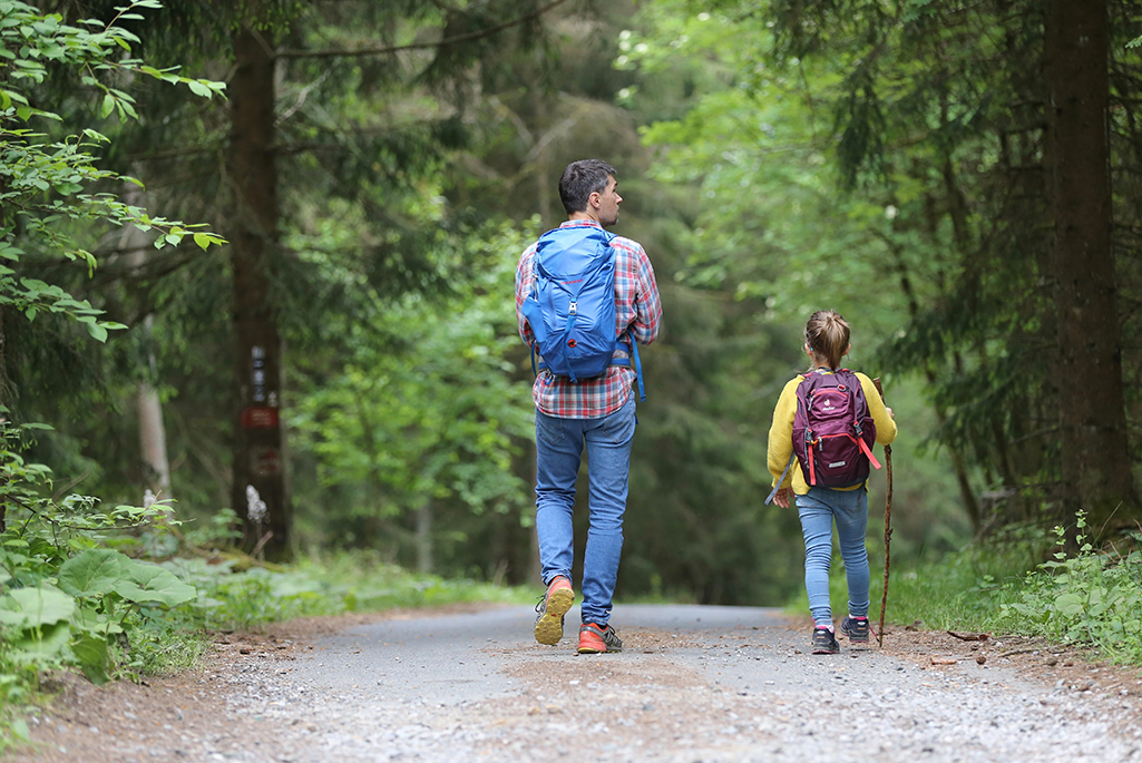 Foto på en vuxen och ett barn som promenerar i skogen. 