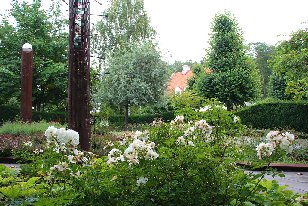 Foto från Pastor Spaks park under sommaren. I förgrunden syns några av de många rosorna som finns i parken. De i bilden skiftar i vitt och rosa. I bakgrunden syns de karaktäristiska ståltornen.
